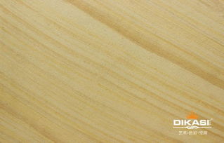 衡陽(yáng)市藝術(shù)涂料招商加盟新機(jī)遇 認(rèn)準(zhǔn)帝卡斯，品質(zhì)直銷，信賴之選